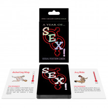 A Year of SEX Kortspel  1