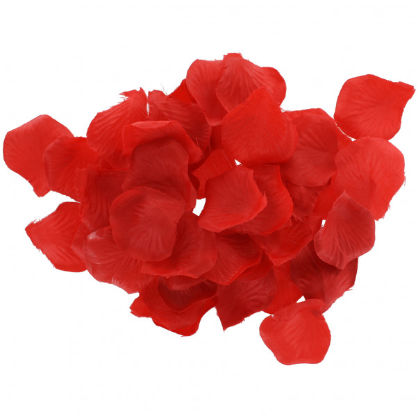 Lovetoy Nybörjarset 10 delar  6