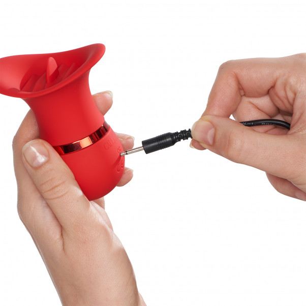 CalExotics French Kiss Charmer Vibrator produkt i hand 51