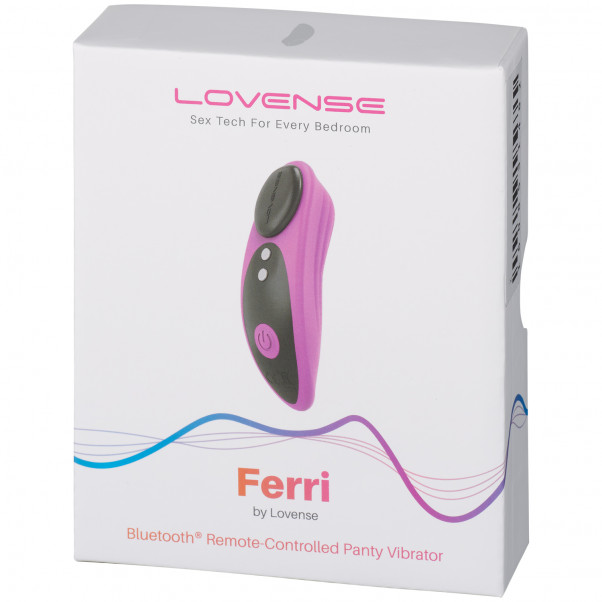 Lovense Ferri Remote Controlled Panty Vibrator Pack 90