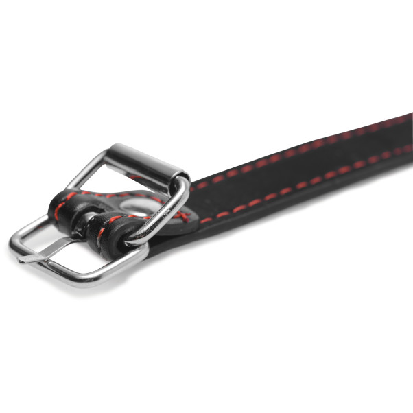 Master Series Hound Dog Bone Gag Produktbild 4