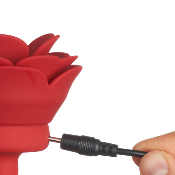 Booty Sparks Small Rose Vibrerande Analplugg Produktbild i hand 52