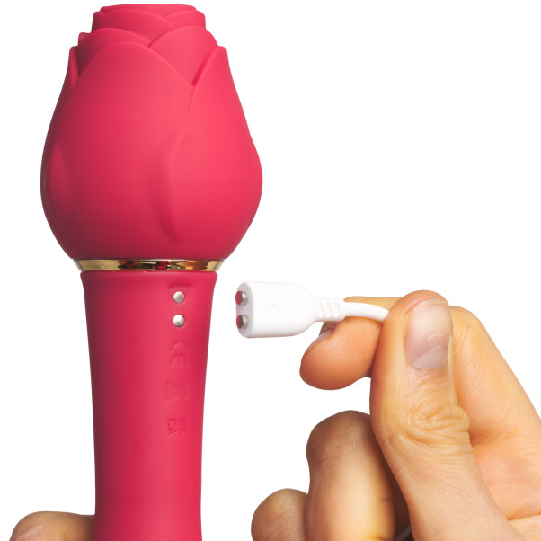 Tracy's Dog Rose Wand och Lufttryckvibrator Produktbild i hand 51