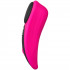 Lovense Ferri Remote Controlled Panty Vibrator Product 4