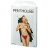 Penthouse Too Hot To Be Real Bordeaux Trosa Produktförpackning 90