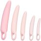 CalExotics Inspire Silikon Dilator Set  1