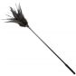 Obaie Kinky Feather Tickler  2