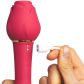 Tracy's Dog Rose Wand och Lufttryckvibrator Produktbild i hand 51